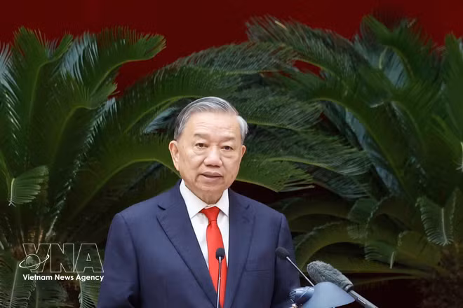 Генсекретарь, Президент То Лам выступил с руководящими указаниями (Фото: ВИА)