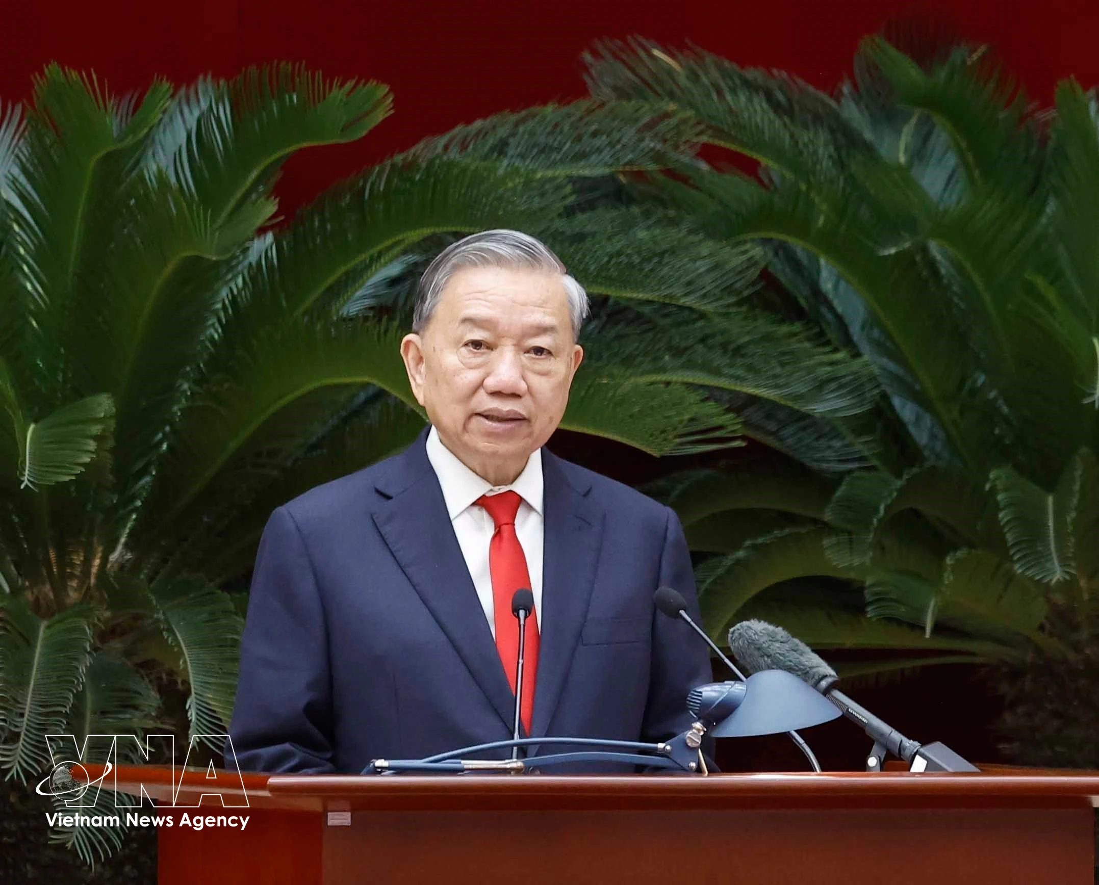 Генсекретарь, Президент То Лам выступил с руководящими указаниями (Фото: ВИА)