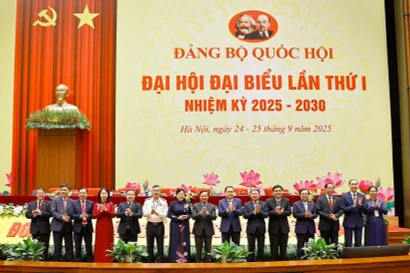 1-ый съезд партийной организации НС. Фото: ВИА