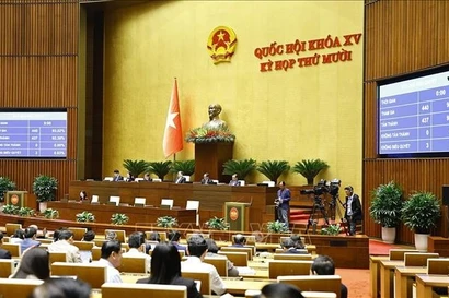 Национальное собрание приняло Закон о СМИ (с поправками). (Фото: ВИА).