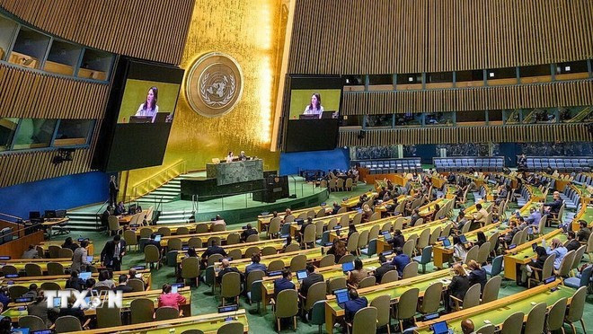 Одно из заседаний Генеральной Ассамблеи ООН. (Фото: ВИА) 2-hop-c490hc490.jpg