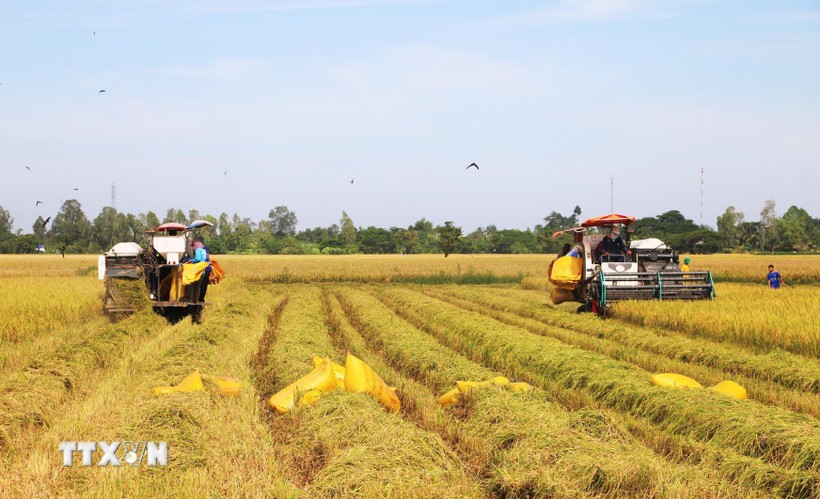 Прорывные меры политики и оперативность их реализации вселяют в людей большие ожидания относительно нового качества жизни (Фото: ВИА)
